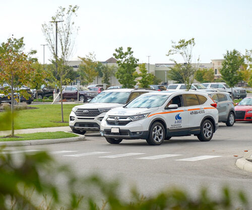 Lendale - TLC Transit Driver